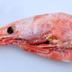 Deep-frozen single shrimp